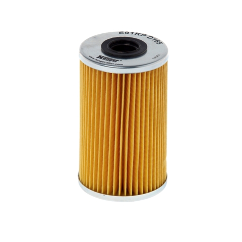 FILTRU COMBUSTIBIL