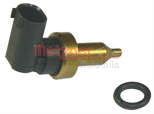 SENZOR, TEMPERATURA CHIULASA