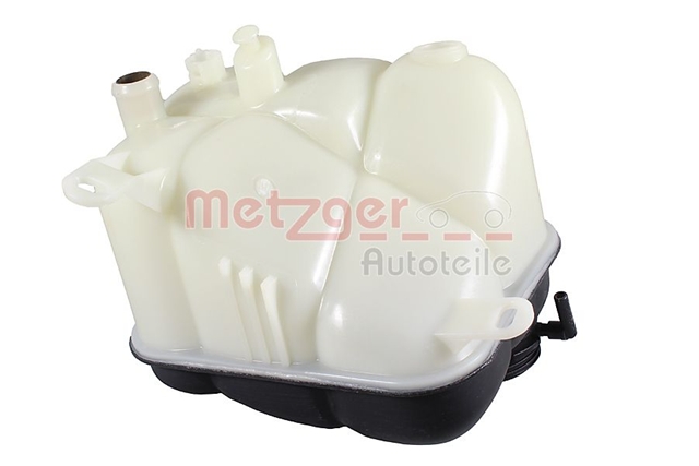 VAS DE EXPANSIUNE RACIRE METZGER SFNBB