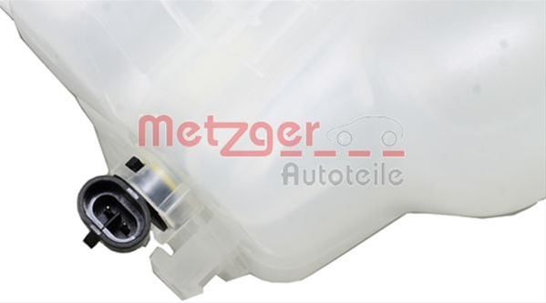 VAS DE EXPANSIUNE RACIRE METZGER SFNBB