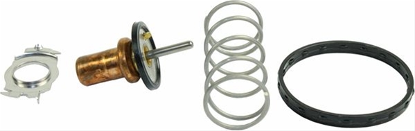Imagine pentru produsul „TERMOSTAT LICHID RACIRE"