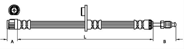 FURTUN FRANA