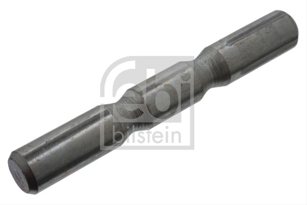 Imagine pentru produsul „STIFT CRESTAT"