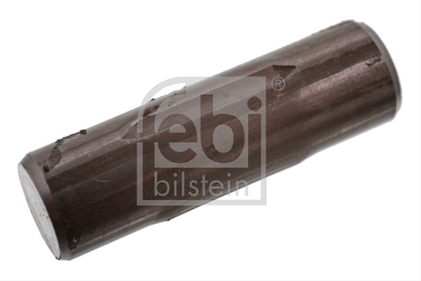 Imagine pentru produsul „STIFT CRESTAT"