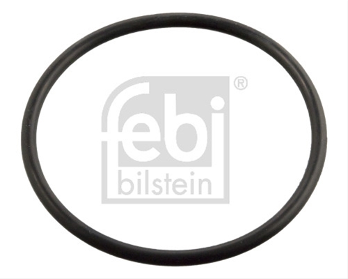 Imagine pentru produsul „GARNITURA TERMOSTAT"