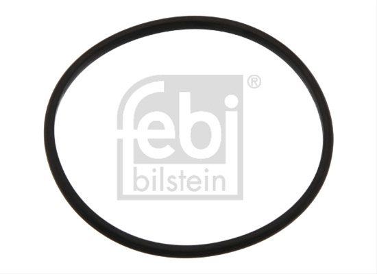 Imagine pentru produsul „GARNITURA TERMOSTAT"