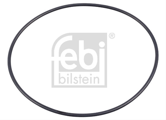 Imagine pentru produsul „O-RING CAMASA CILINDRU FEBI"