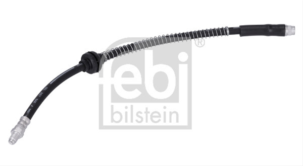 FURTUN FRANA FEBI