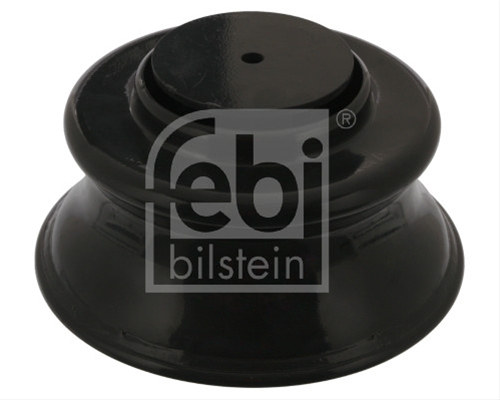 Imagine pentru produsul „PISTON PERNA DE AER"