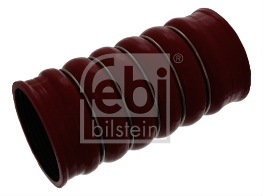 FURTUN EAR SUPRAALIMENTARE