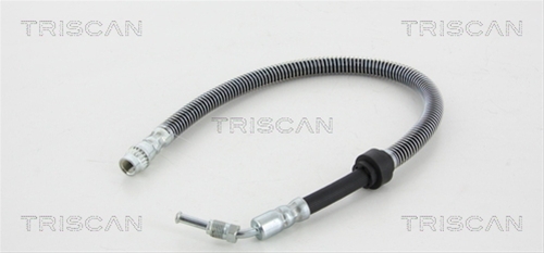 FURTUN FRANA