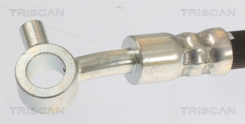 FURTUN FRANA