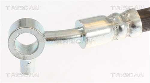 FURTUN FRANA