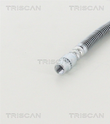 FURTUN FRANA