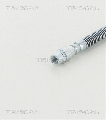 FURTUN FRANA
