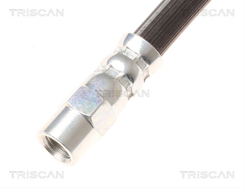 FURTUN FRANA