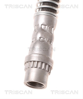 FURTUN FRANA
