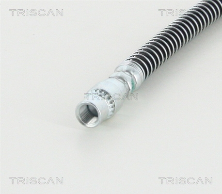 FURTUN FRANA