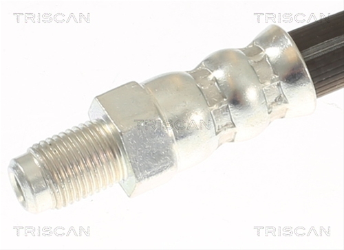 FURTUN FRANA