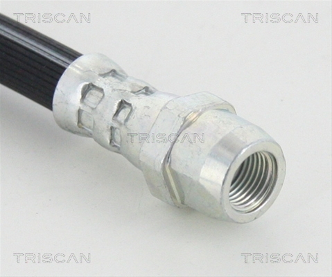 FURTUN FRANA