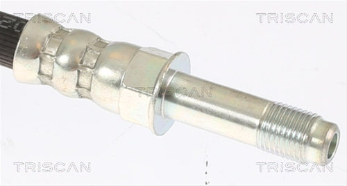 FURTUN FRANA