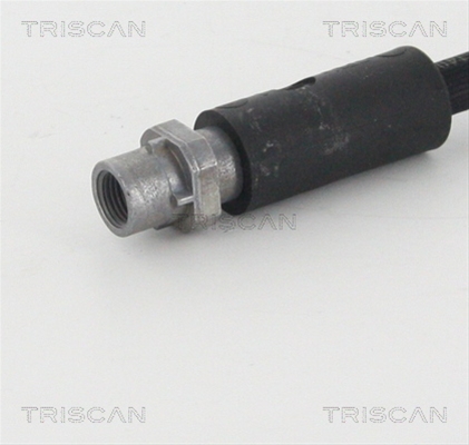 FURTUN FRANA