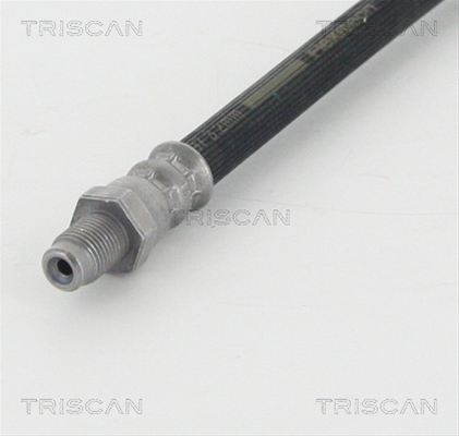 FURTUN FRANA