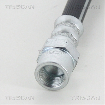 FURTUN FRANA