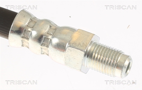 FURTUN FRANA