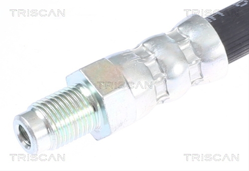 FURTUN FRANA