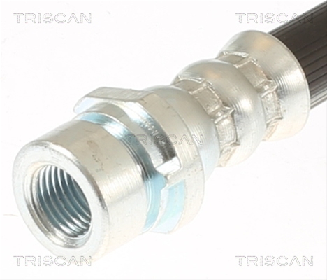 FURTUN FRANA