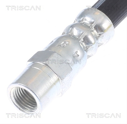 FURTUN FRANA