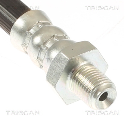 FURTUN FRANA
