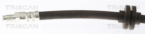 FURTUN FRANA