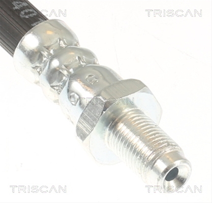 FURTUN FRANA