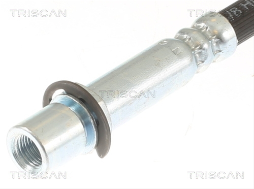 FURTUN FRANA