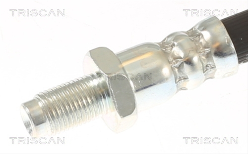 FURTUN FRANA