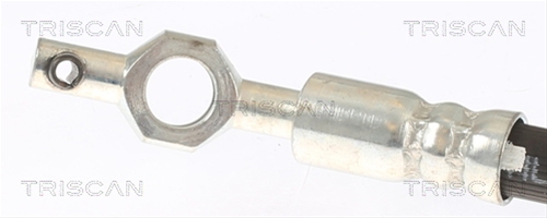 FURTUN FRANA