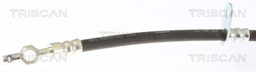 FURTUN FRANA