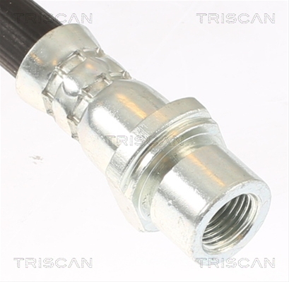 FURTUN FRANA