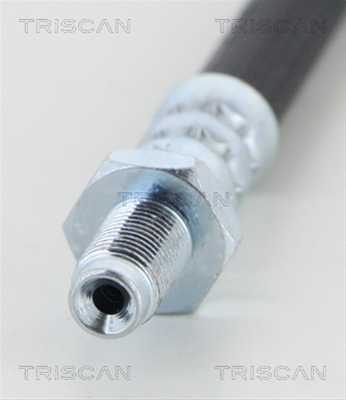 FURTUN FRANA