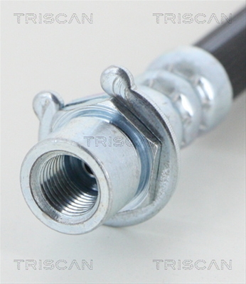 FURTUN FRANA