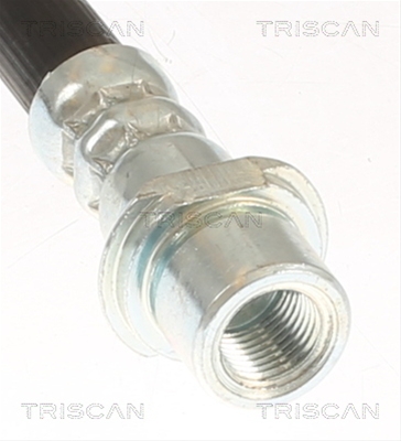 FURTUN FRANA