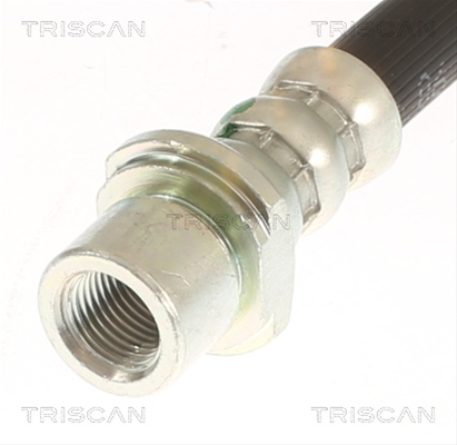 FURTUN FRANA