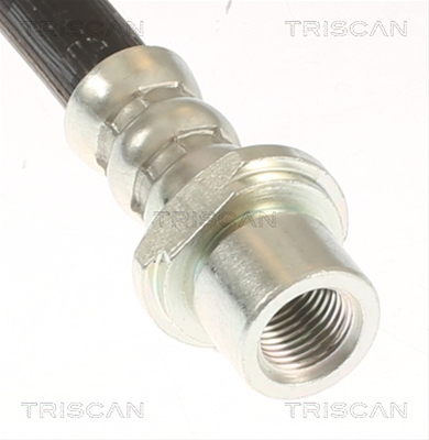 FURTUN FRANA