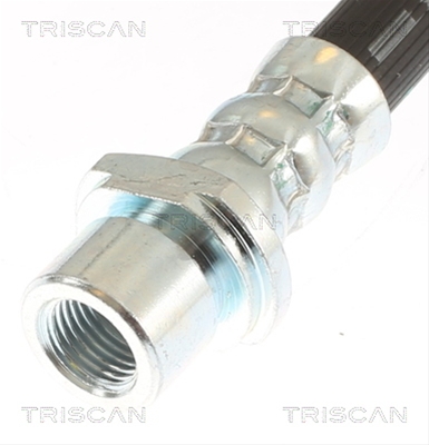 FURTUN FRANA