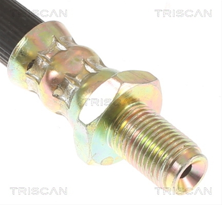 FURTUN FRANA