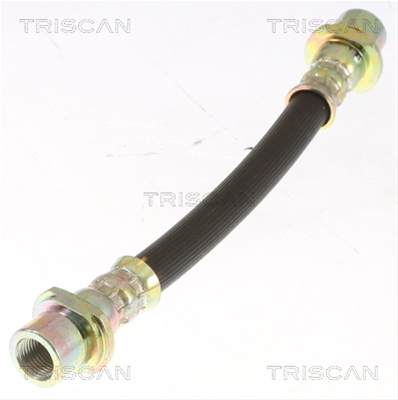 FURTUN FRANA
