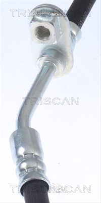 FURTUN FRANA