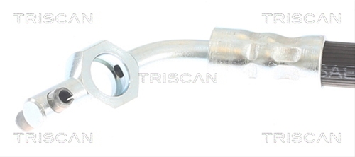 FURTUN FRANA